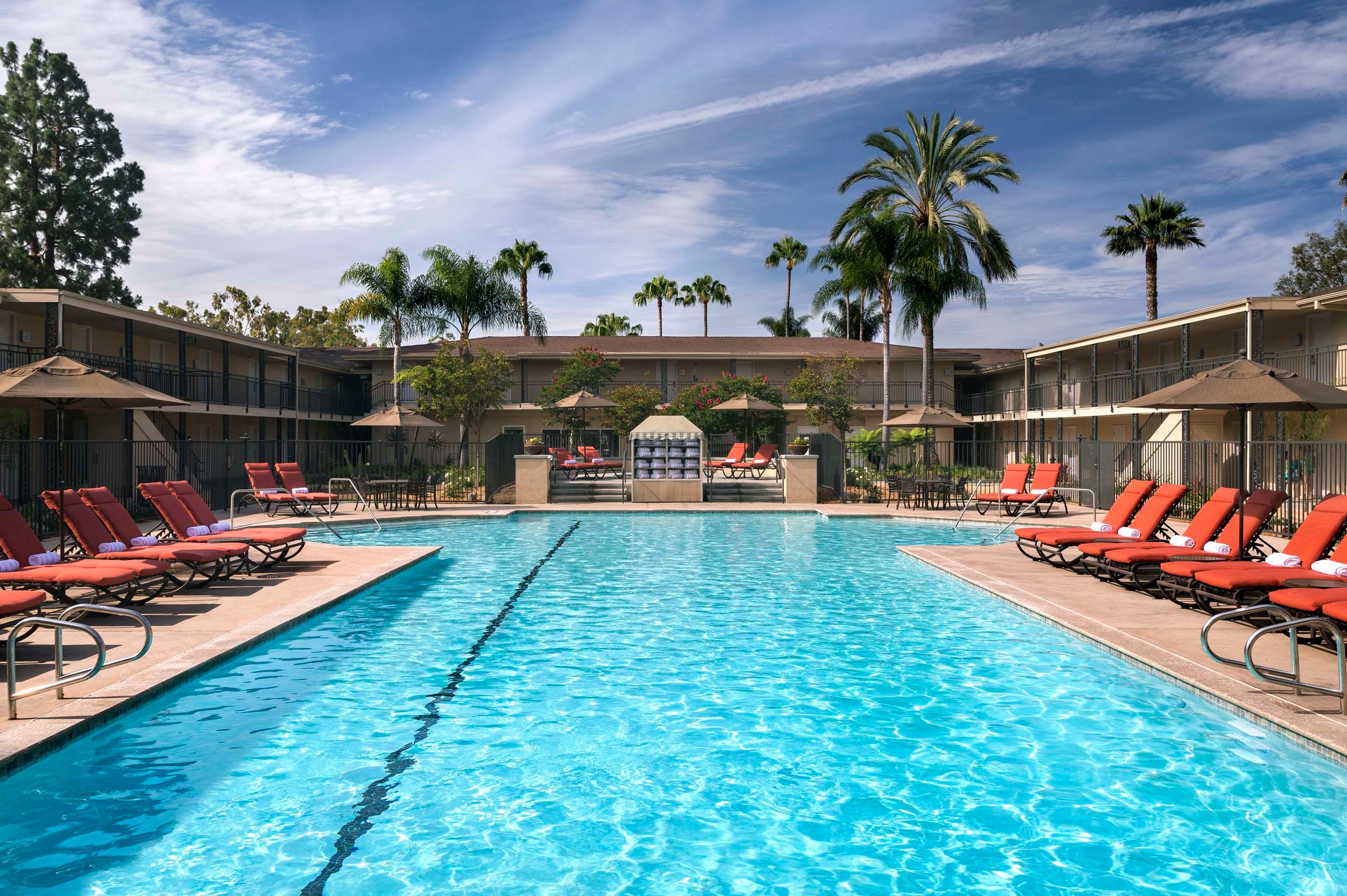 حوض السباحة