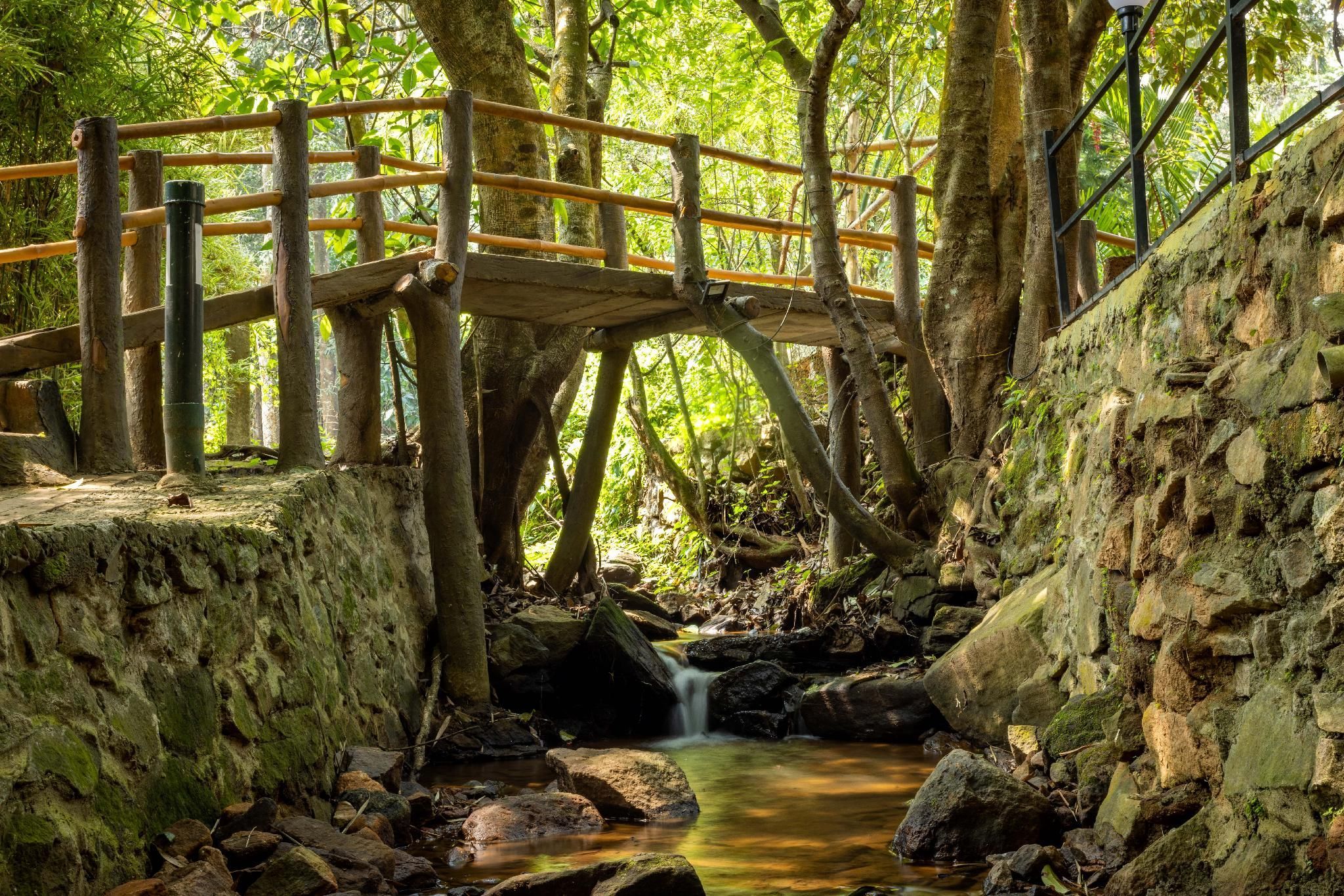 المظهر الخارجي