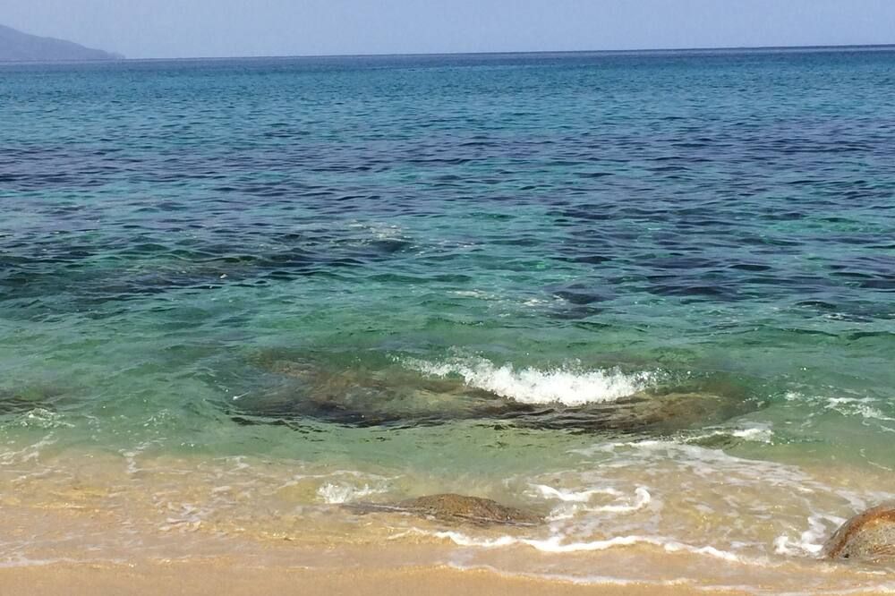 شاطئ