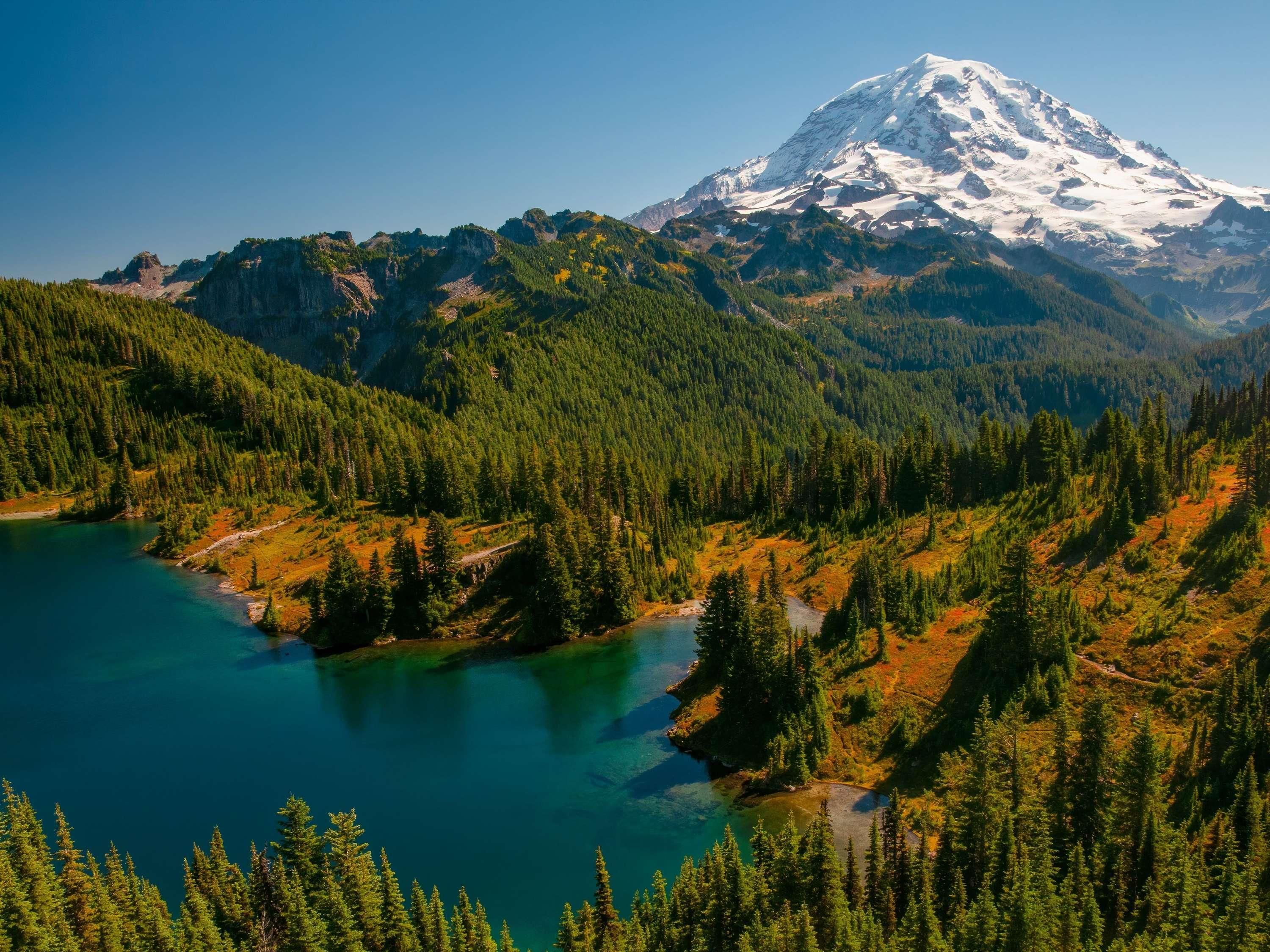 المظهر الخارجي
