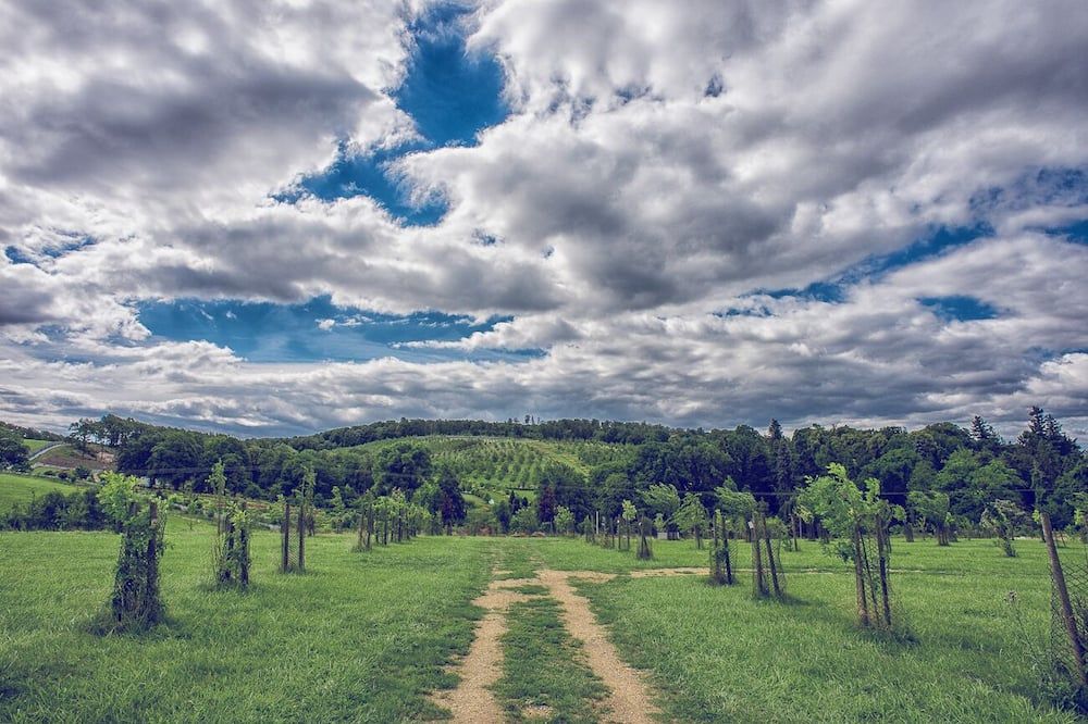 المظهر الخارجي
