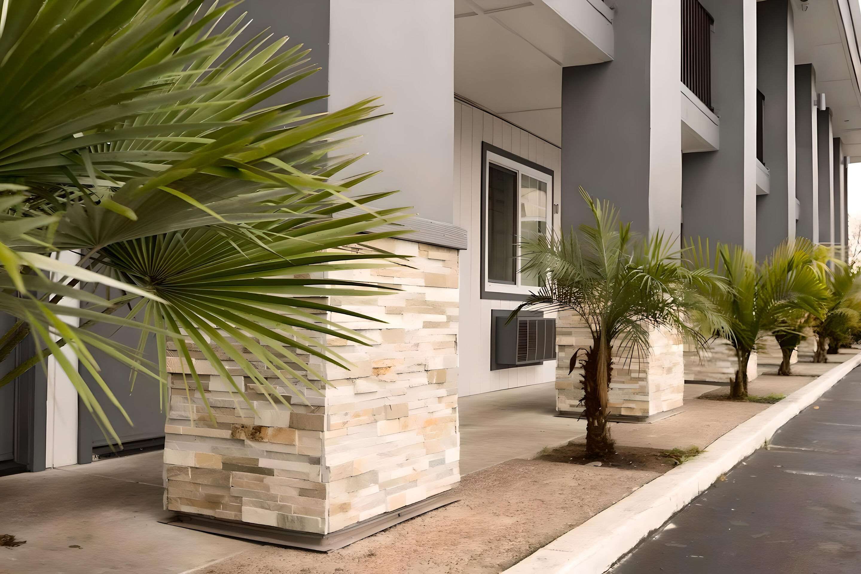 المظهر الخارجي