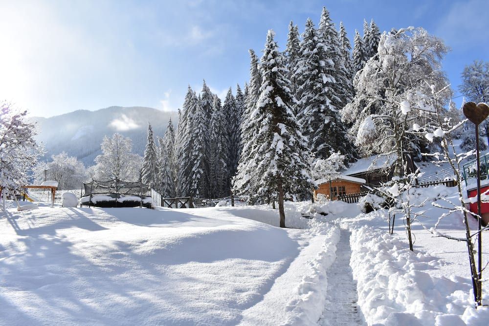 المظهر الخارجي