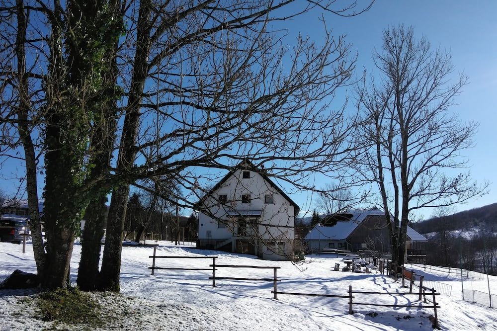 المظهر الخارجي