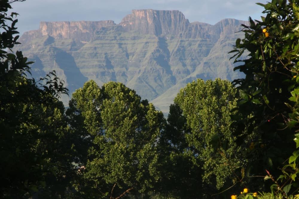 المظهر الخارجي