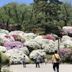 المعالم السياحية