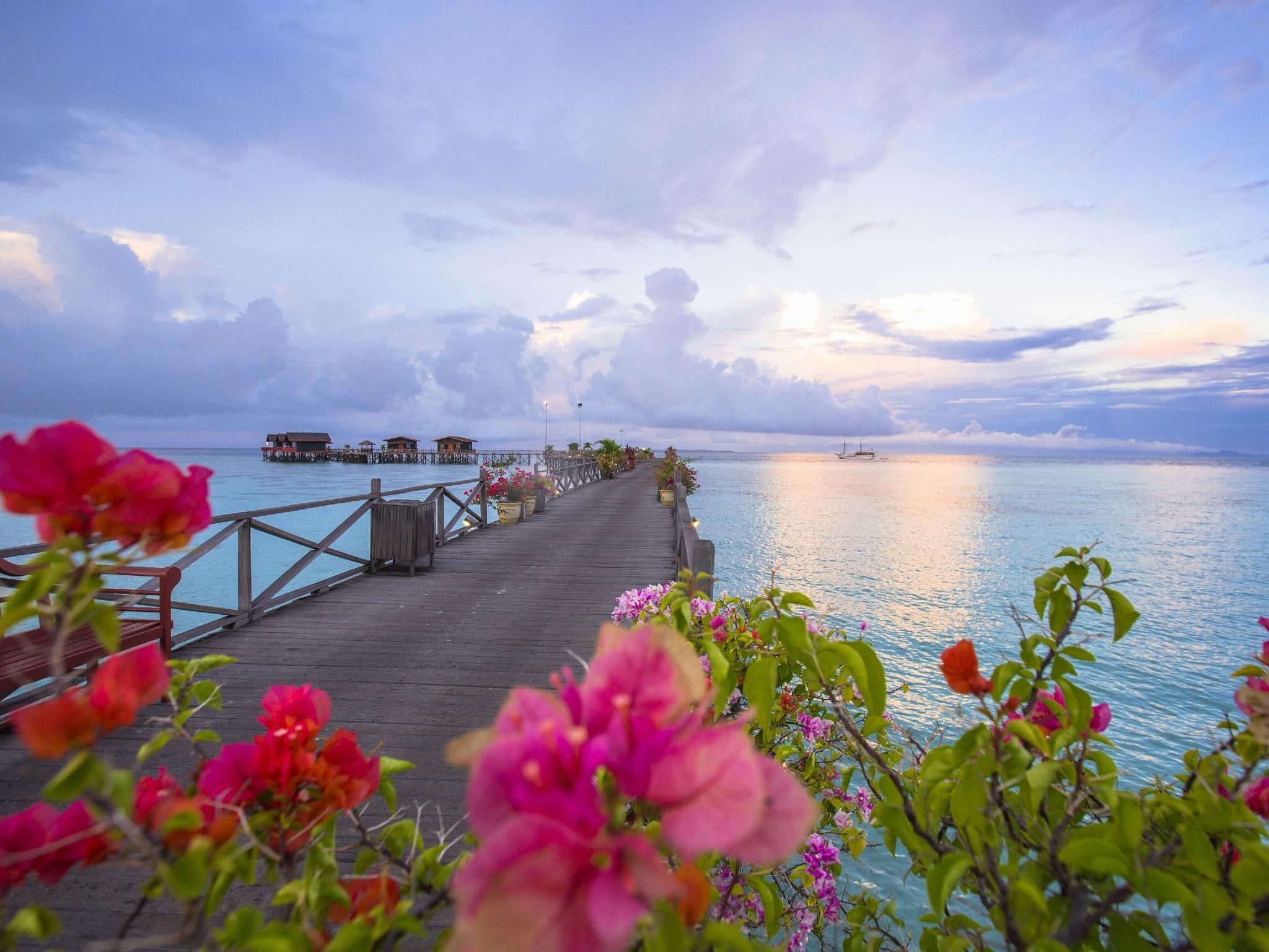 المظهر الخارجي