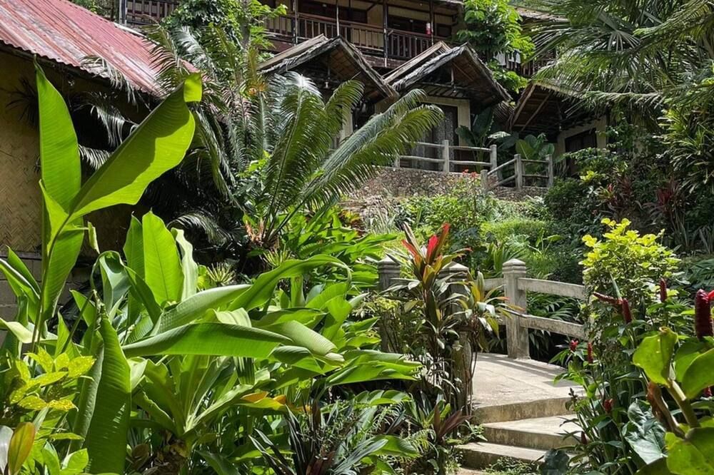 المظهر الخارجي