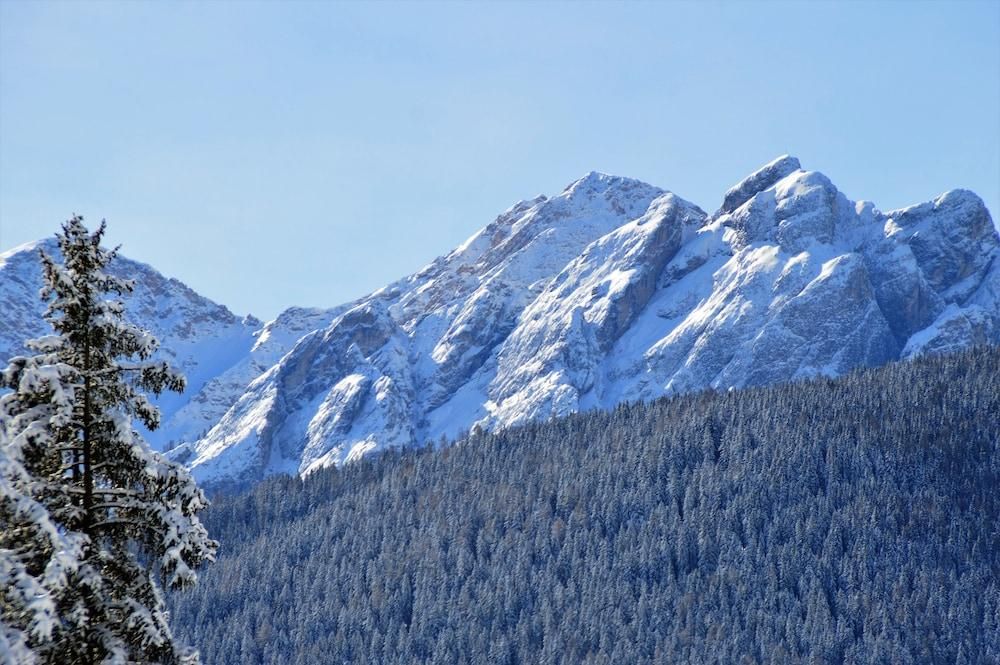 المظهر الخارجي