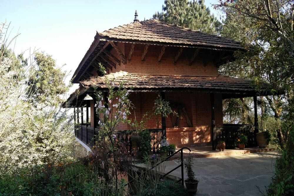 المظهر الخارجي