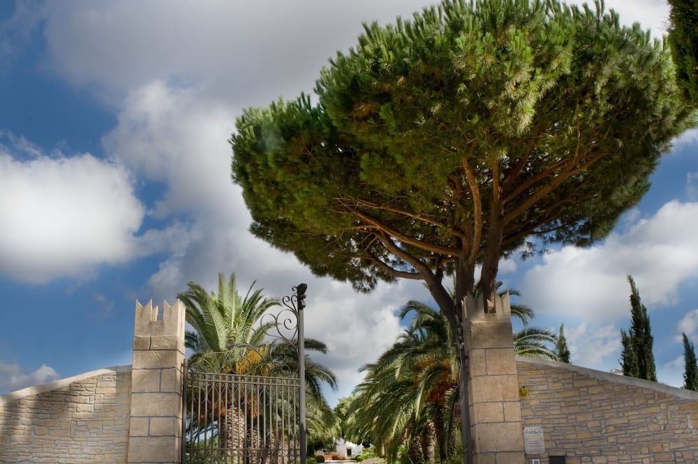 المظهر الخارجي