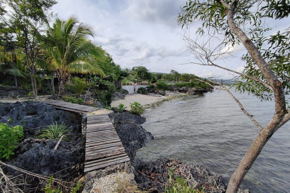 المظهر الخارجي