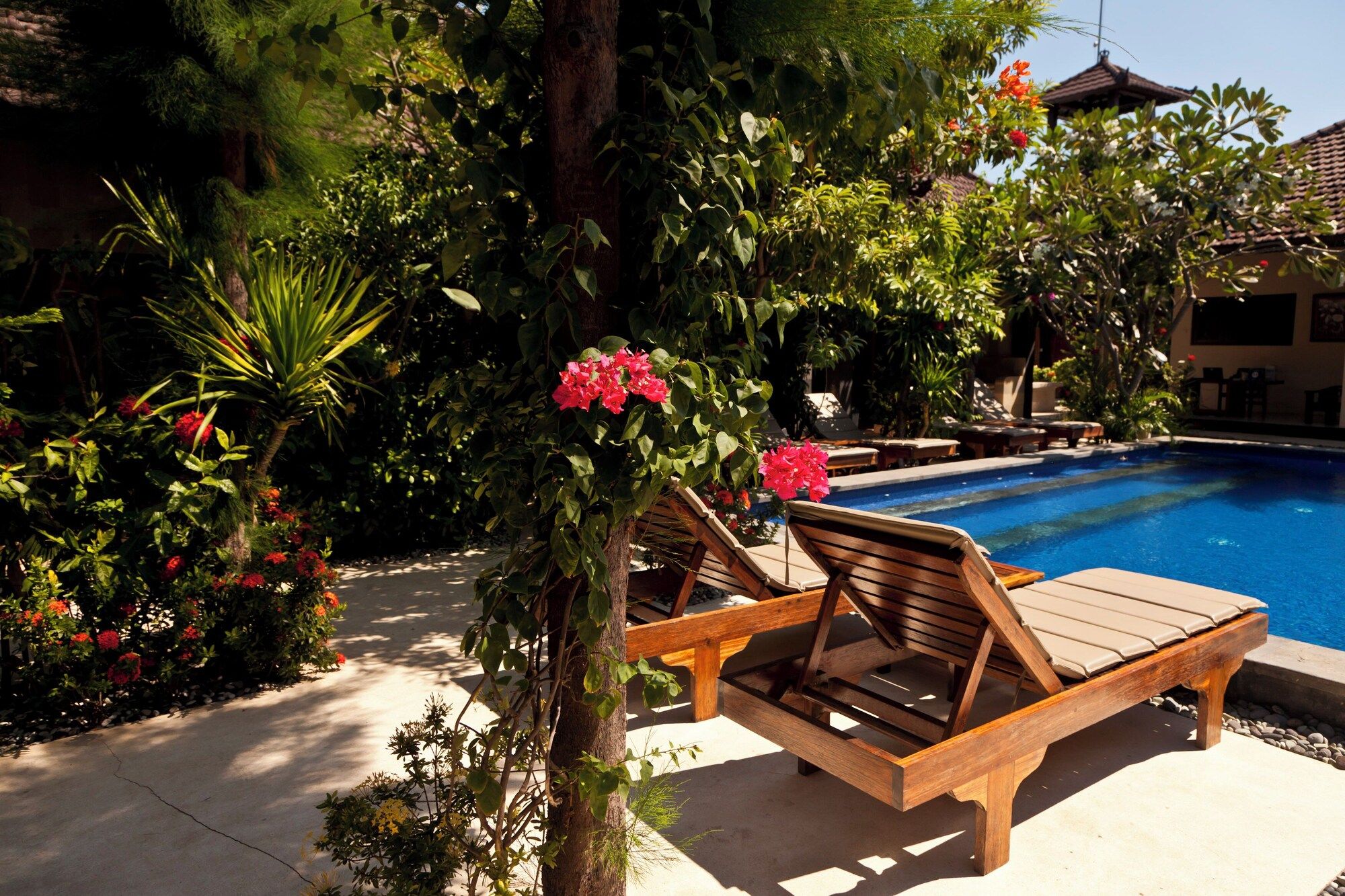 حوض السباحة