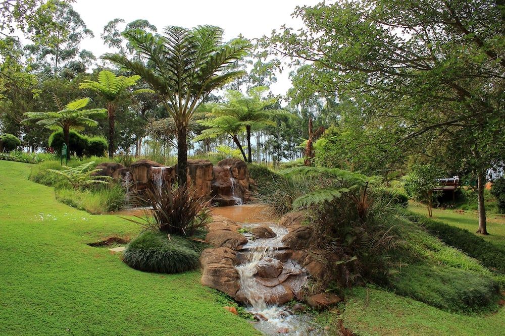 المظهر الخارجي