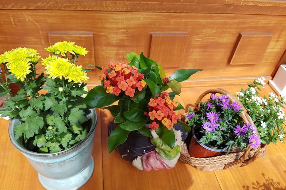 المظهر الخارجي