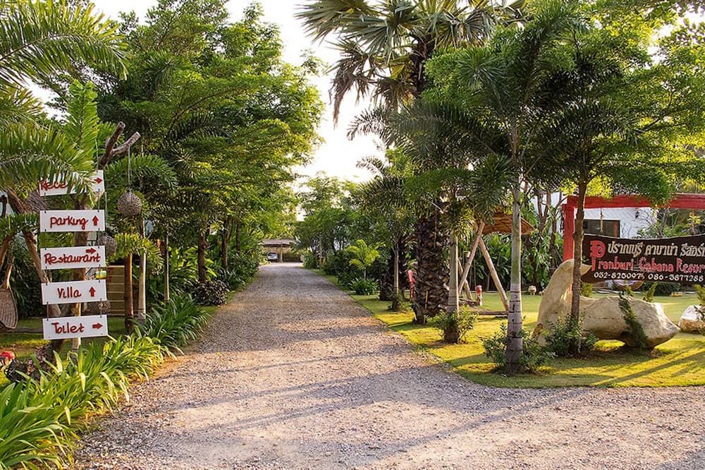 المظهر الخارجي