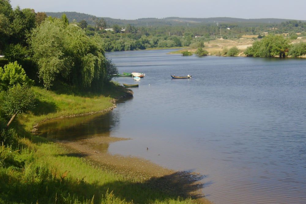 المظهر الخارجي