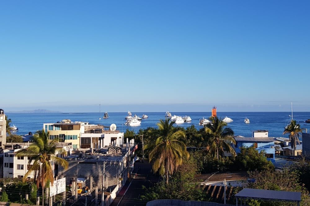 المظهر الخارجي