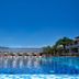 حوض السباحة