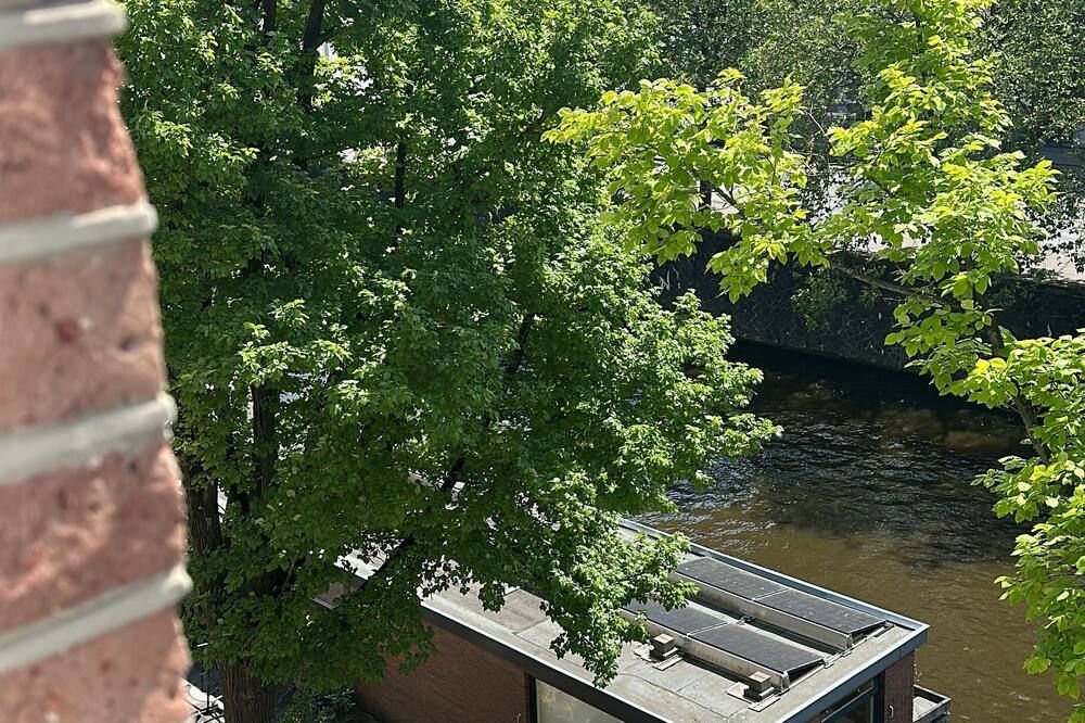 المظهر الخارجي