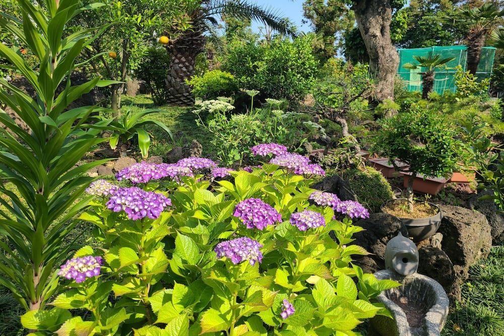 المظهر الخارجي