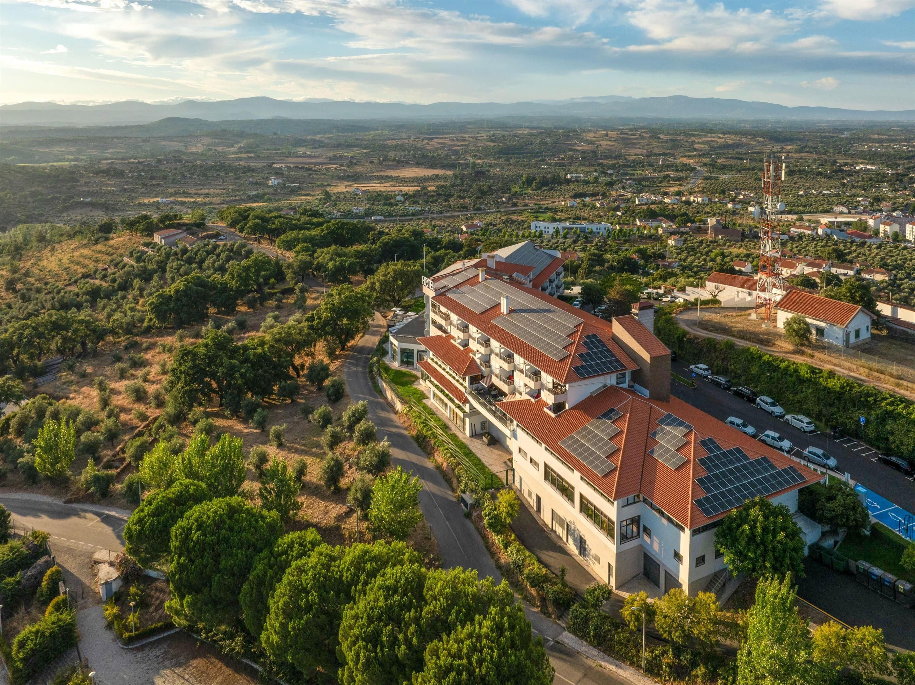 المظهر الخارجي