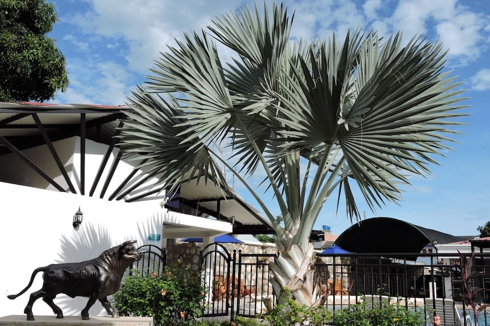 المظهر الخارجي