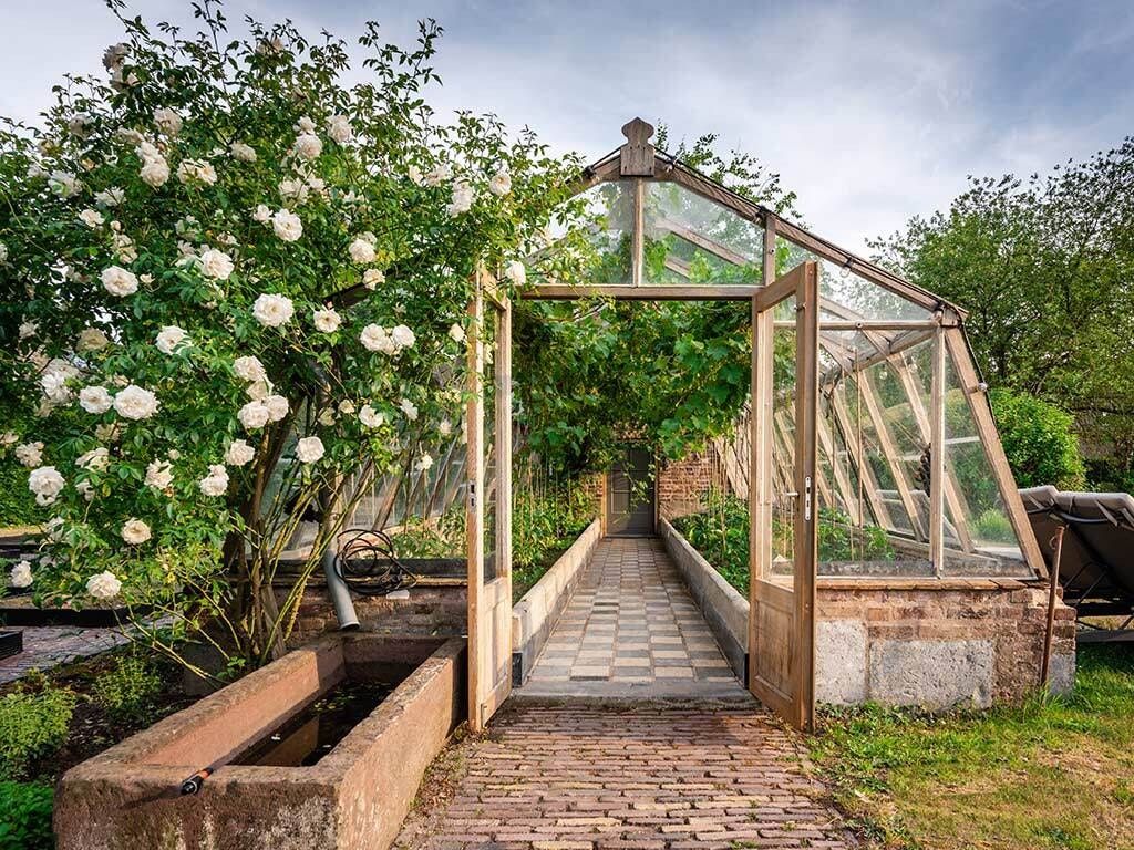 المظهر الخارجي