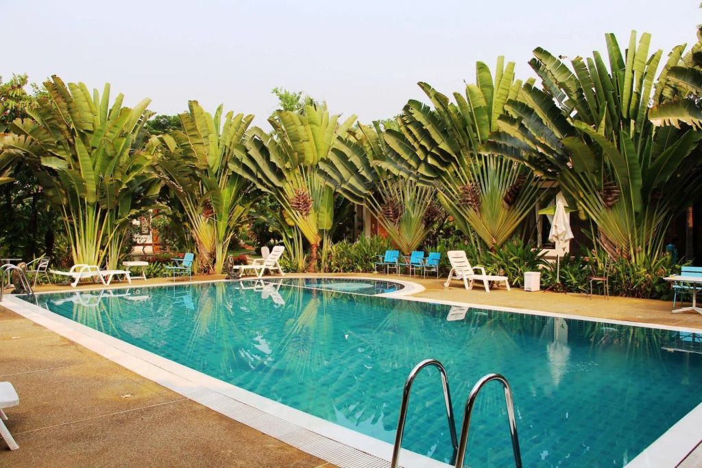 حوض السباحة صورة