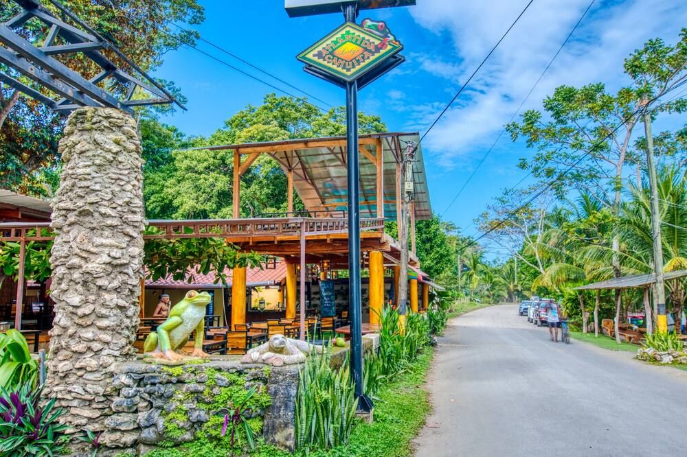 المظهر الخارجي