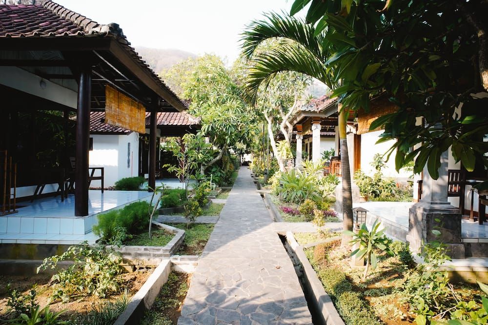 المظهر الخارجي