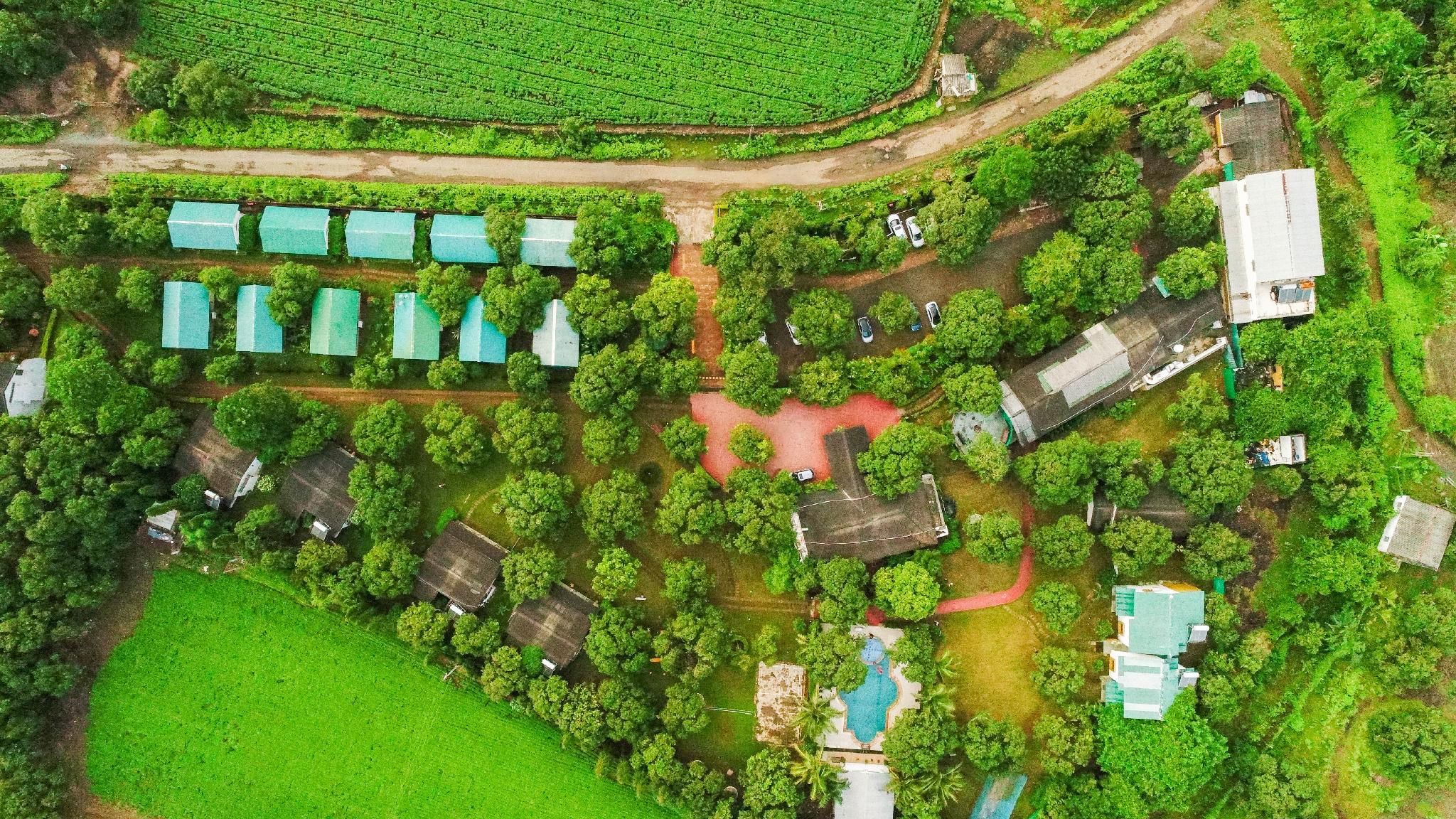 المظهر الخارجي