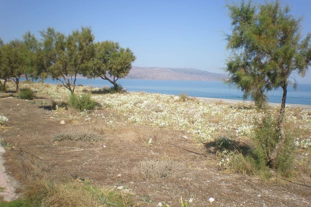 المظهر الخارجي