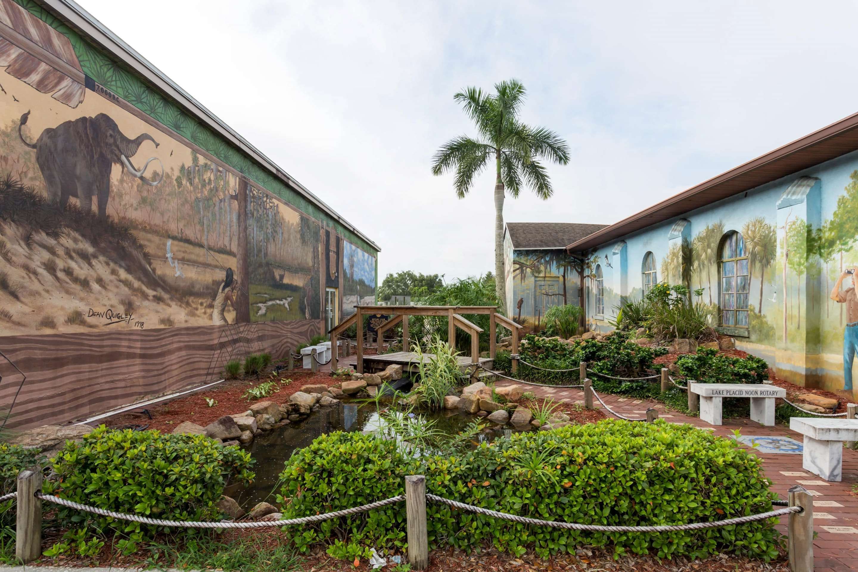 المظهر الخارجي