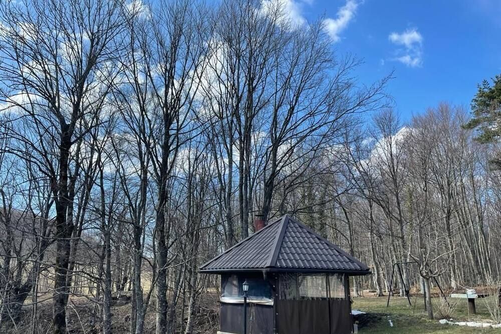 المظهر الخارجي