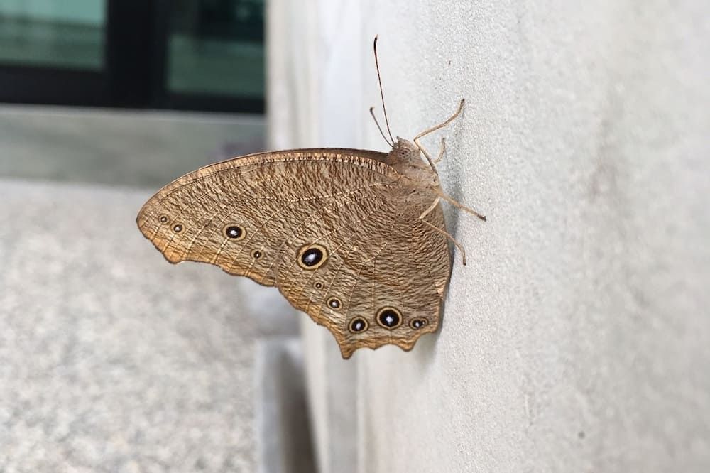 وسائل راحة في الغرف