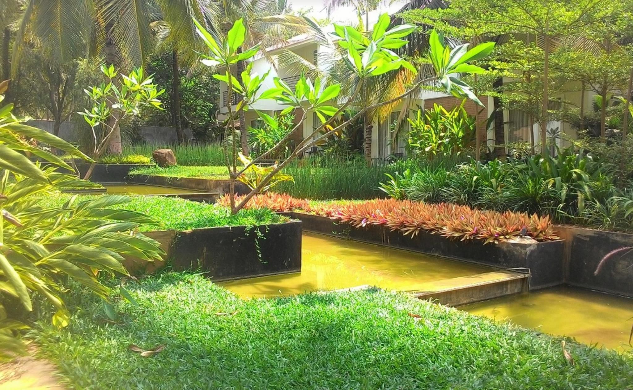 المظهر الخارجي