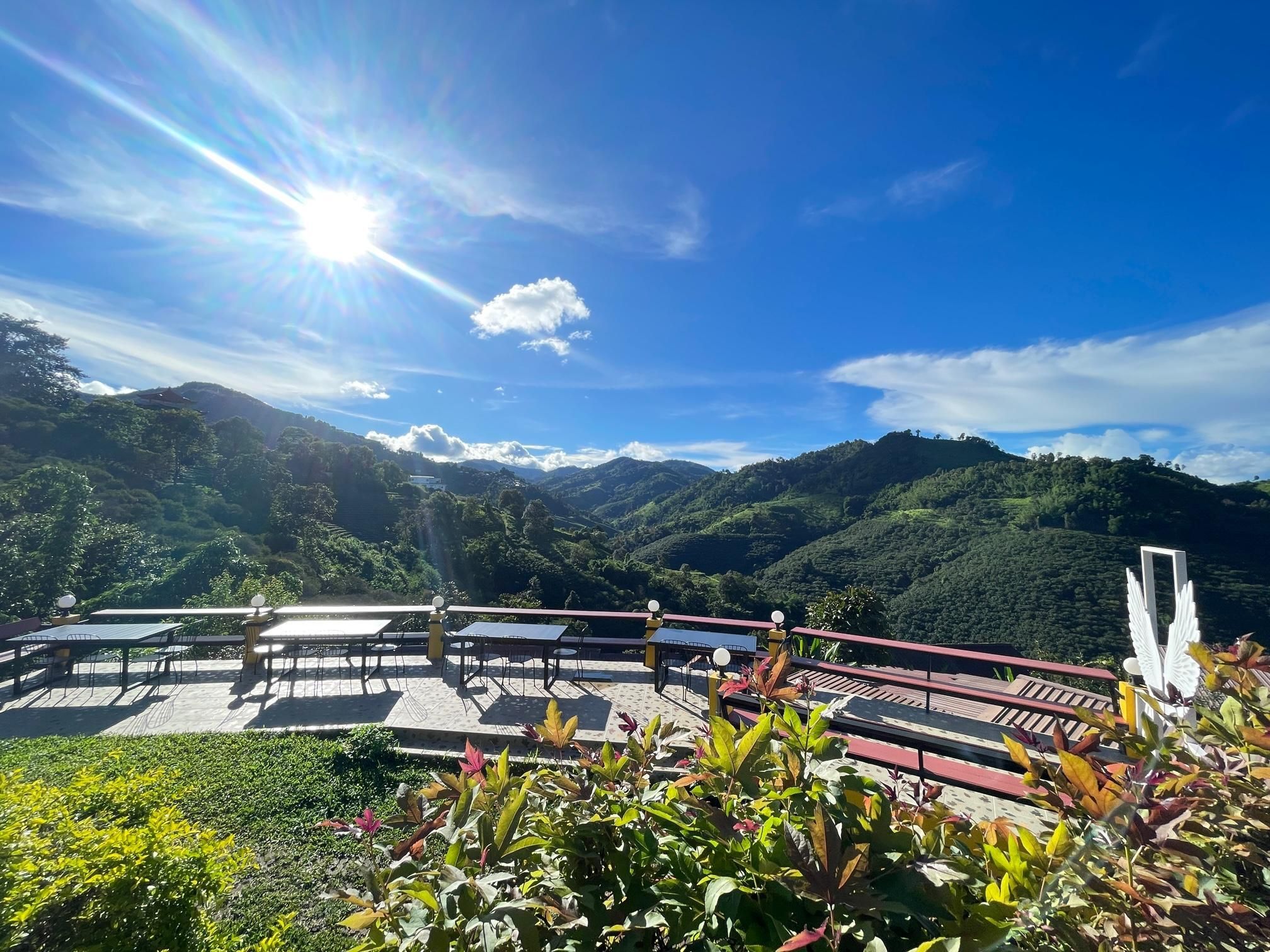 المظهر الخارجي