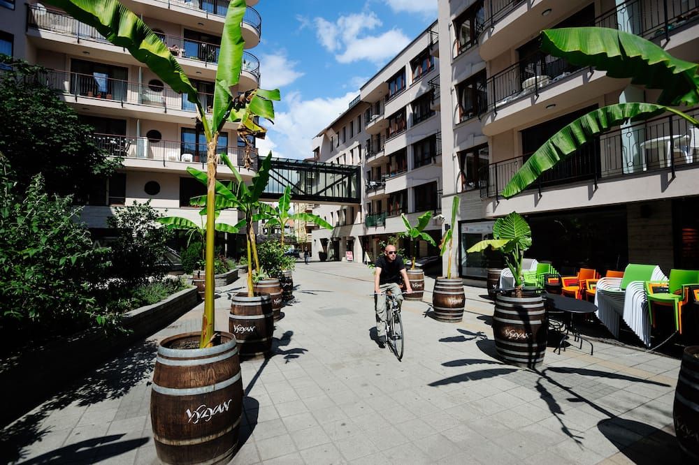 المظهر الخارجي