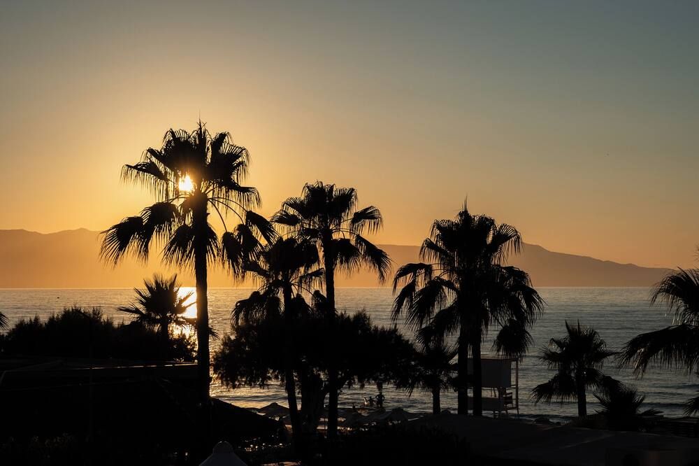 آخر صورة