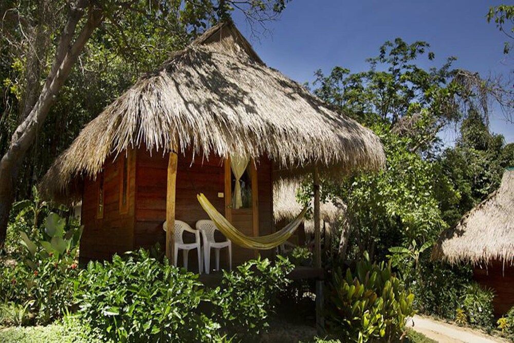 المظهر الخارجي