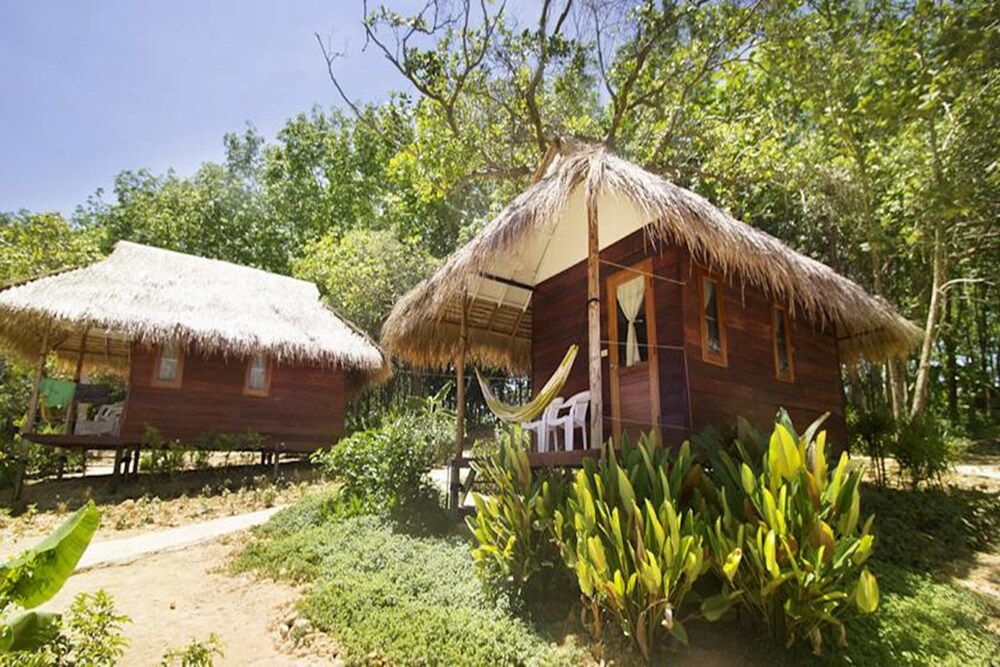 المظهر الخارجي