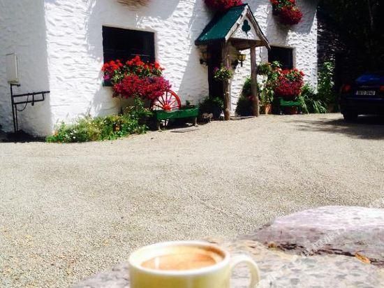 المظهر الخارجي