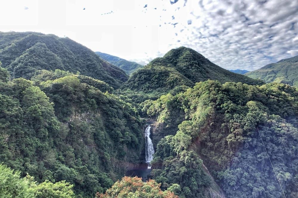 المظهر الخارجي