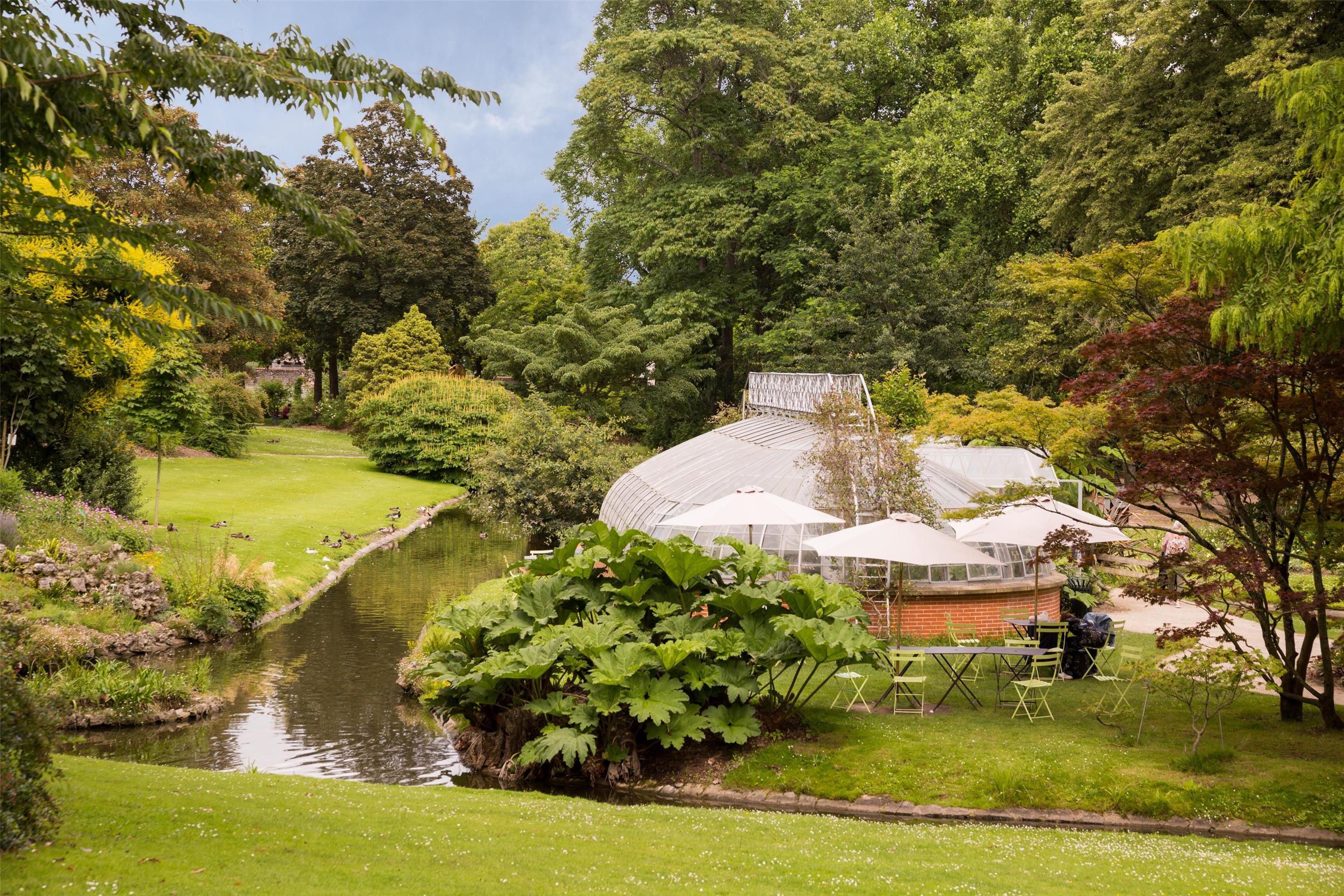 المظهر الخارجي