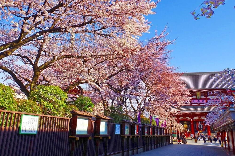 المظهر الخارجي