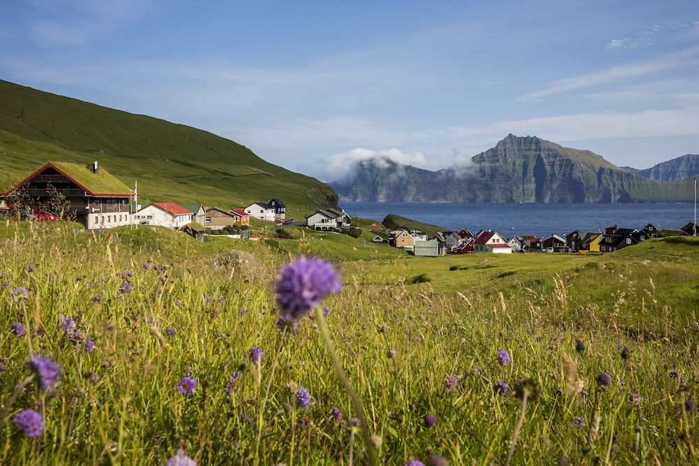 المظهر الخارجي