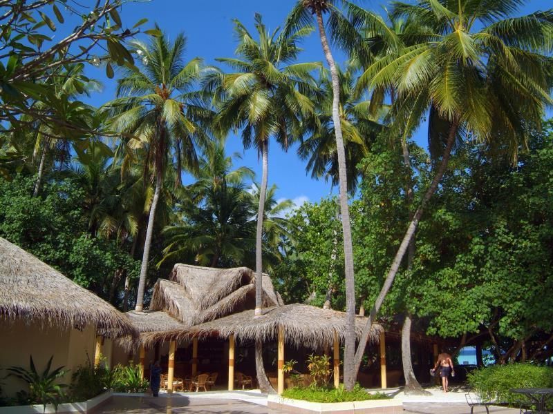 المظهر الخارجي