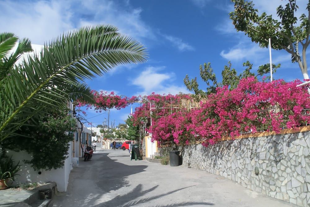 المظهر الخارجي