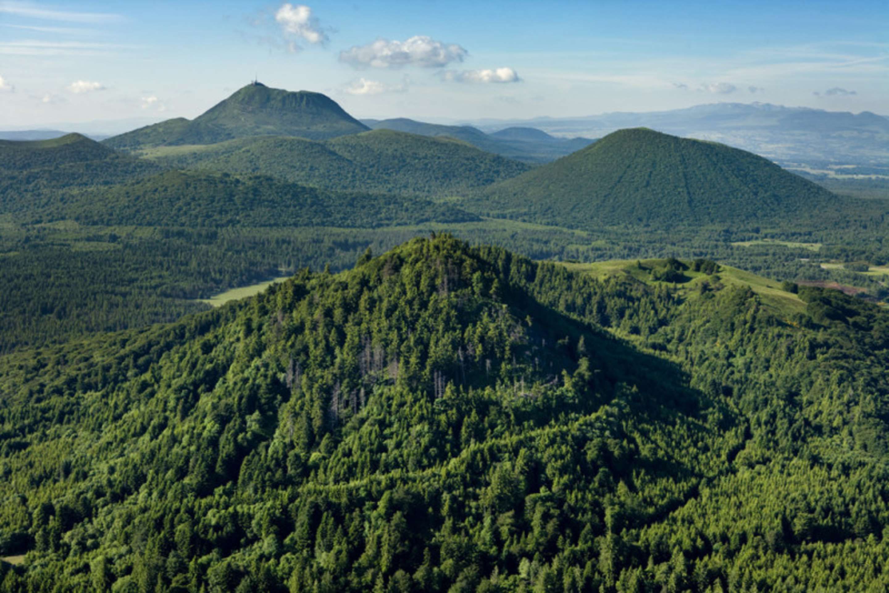 المظهر الخارجي